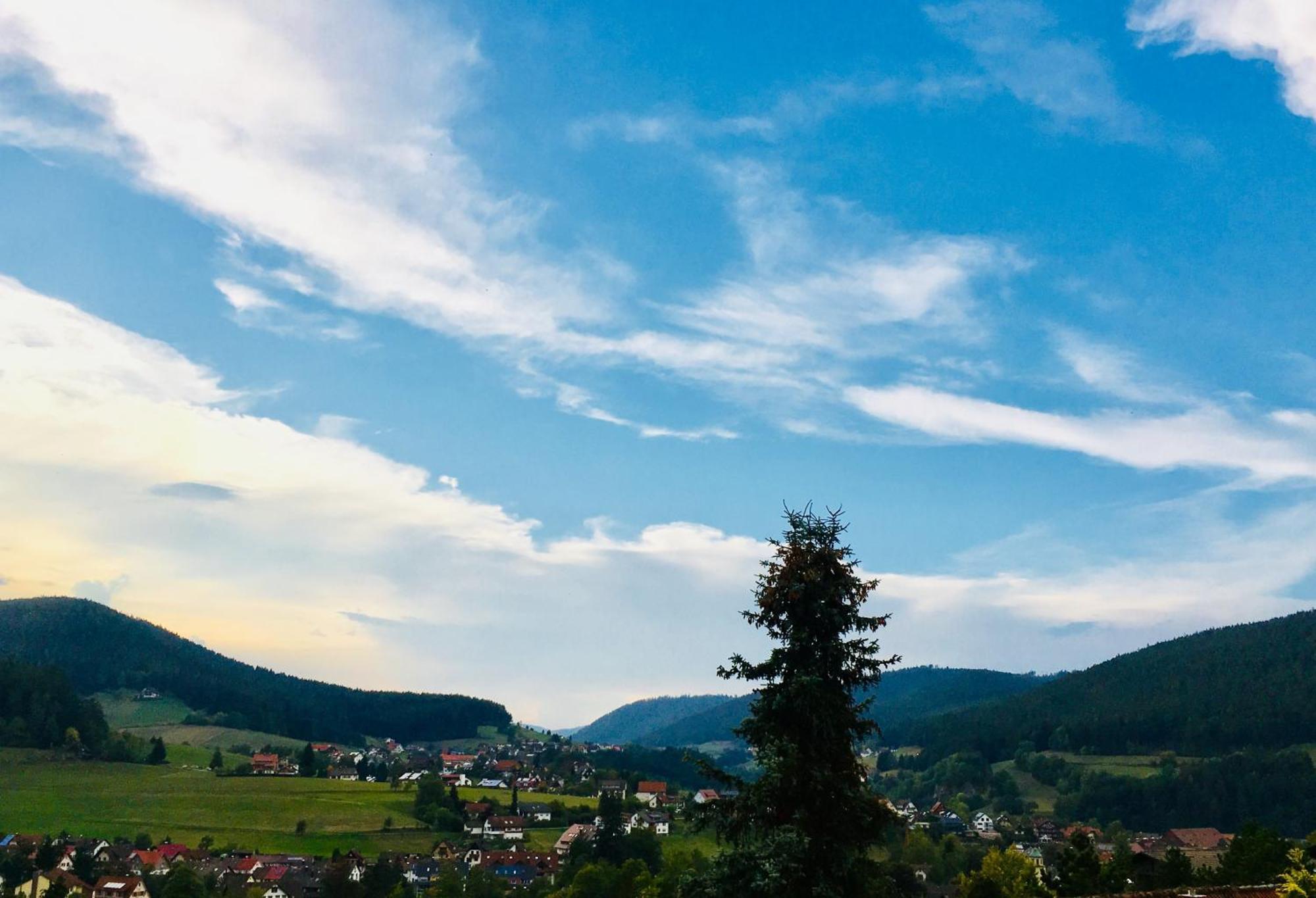 Goldener Hahn B&B Baiersbronn - Ferienwohnungen Mit Hotel Service Nahe Gartenschau Tal X Eksteriør billede