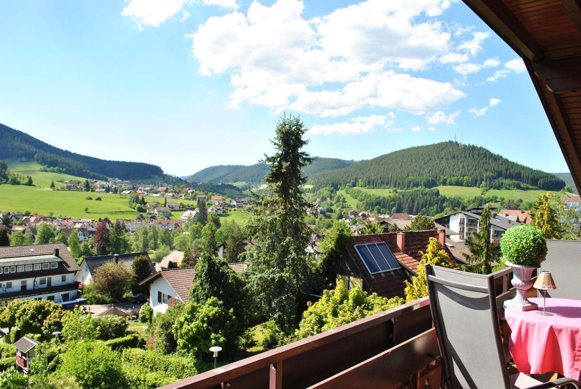 Goldener Hahn B&B Baiersbronn - Ferienwohnungen Mit Hotel Service Nahe Gartenschau Tal X Værelse billede